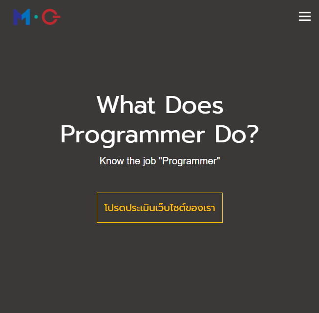 What Does Programmer Do?